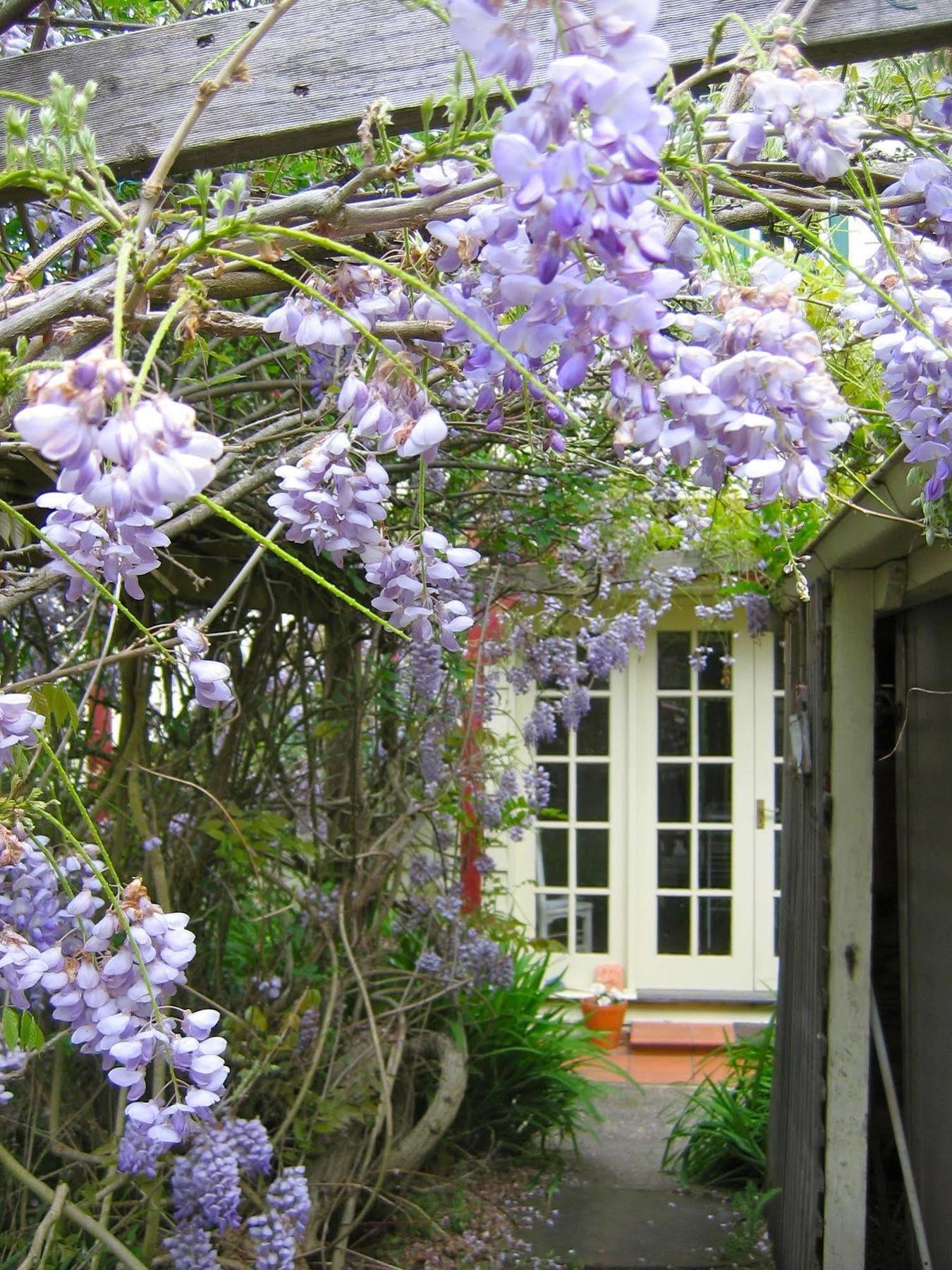Crabtree House Bed and Breakfast Grove Εξωτερικό φωτογραφία